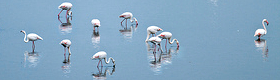Delta del Po